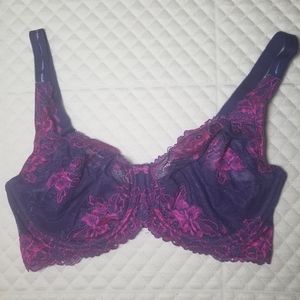 PLUS SIZE Purple and Pink Lace Bra